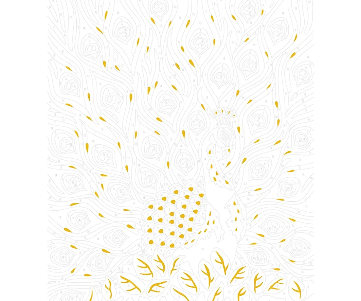 Pintura Por Números Pájaros Fabulosos