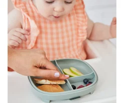 Plato 2 en 1 con Ventosa y Compartimentos Extraíbles Sage