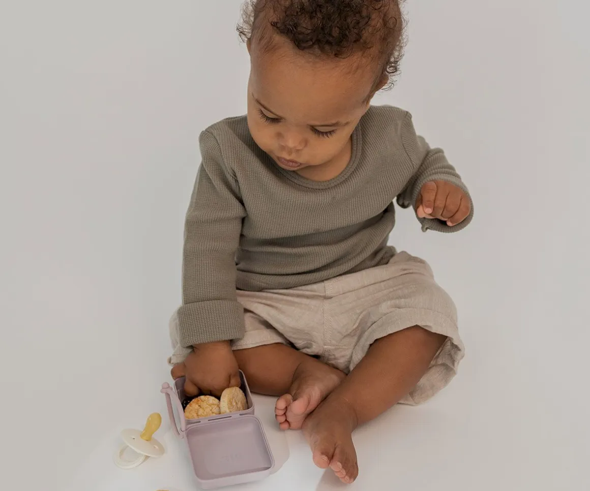 Portachupetes BIBS Dusky Lilac