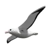 Puzzle 3D Eugy Royal Albatross