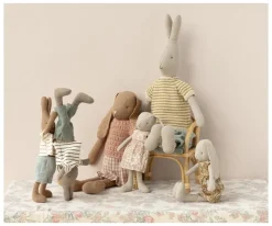 Rabbit con Camisa y Pantoles de Puntos T3