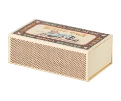 Ratón Hermano Mayor en Caja