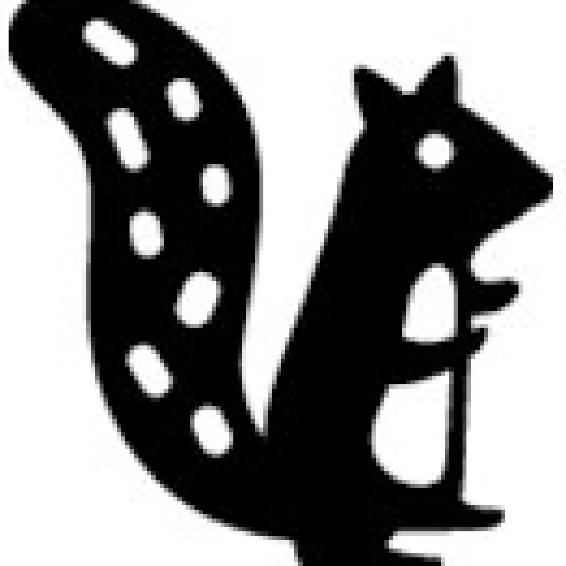 Sello Personalizado Ardilla + Cinta Blanca para Ropa Oscura