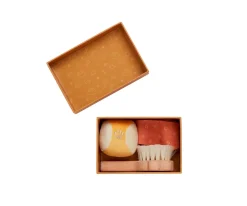 Set Dinkum Dogs Starter