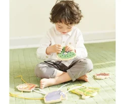 Set Enhebrar Free jungle