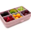 Snackle Box Mini 6 Compartimentos