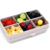 Snackle Box Mini Ivory