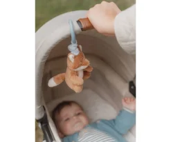 Zorro Pull and Shake Forest Friends